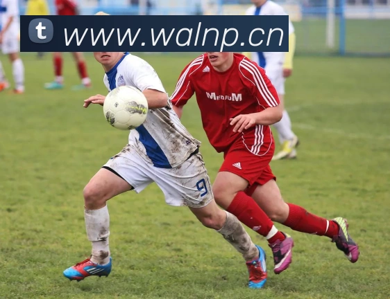 hth登录入口发展历程